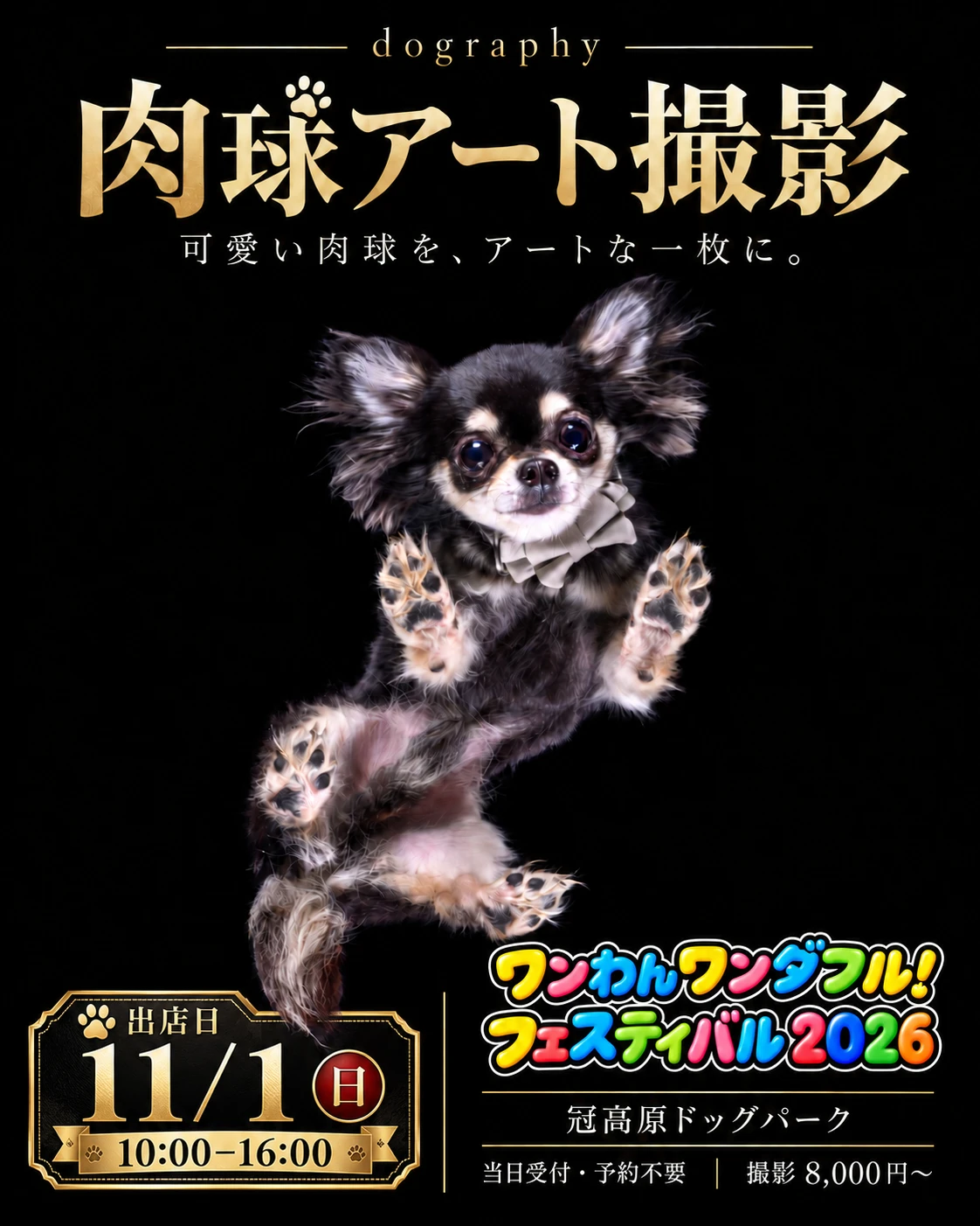 肉球アート撮影|ワンわんワンダフル!フェスティバル2026の撮影イメージ